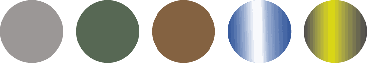 Odoo • Imagen y texto