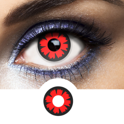 FANTASIA 1 WEEK CYBER RED 2PK