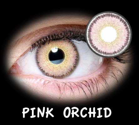 FASHION NATURAL DREAM PINK ORCHID ANUAL 2PK