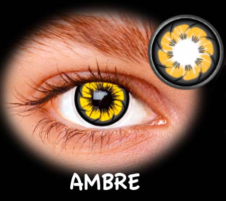 FASHION TOKYO AMBRE ANUAL 2PK