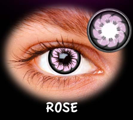 FASHION TOKYO ROSE ANUAL 2PK