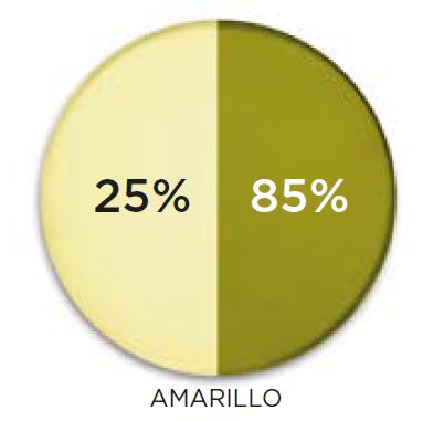 1.56 PHOTO SUNGLASSES NEUTRO AMARILLO