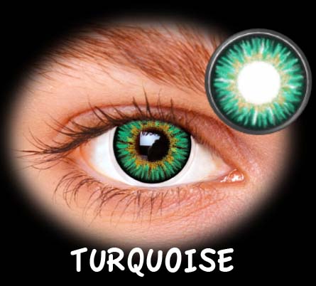 FANTASIA ANUAL LONDON TURQUOISE 2PK