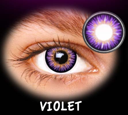 FANTASIA ANUAL LONDON VIOLET 2PK