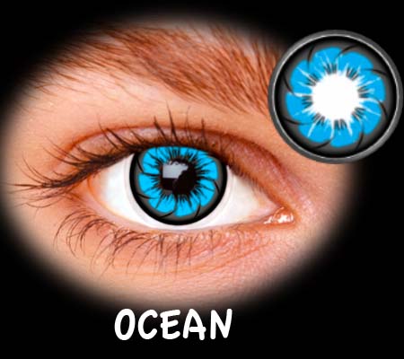 FASHION TOKYO OCEAN ANUAL 2PK