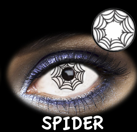 FANTASIA 1 WEEK SPIDER 2PK